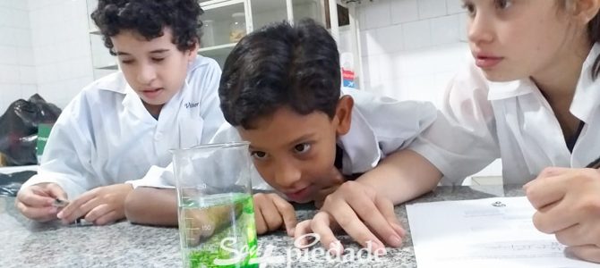 Prática laboratorial facilita o aprendizado de Química. Prática laboratorial facilita o aprendizado de Química.