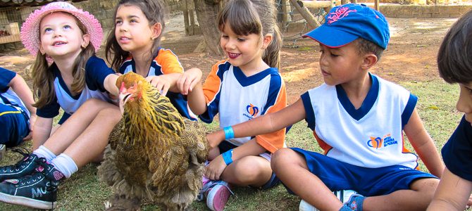 Uma vivência de muitos aprendizados na fazenda Uma vivência de muitos aprendizados na fazenda