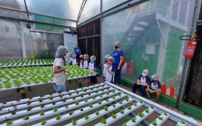 Estudantes visitam fazenda urbana em um dia recheado de aprendizados!