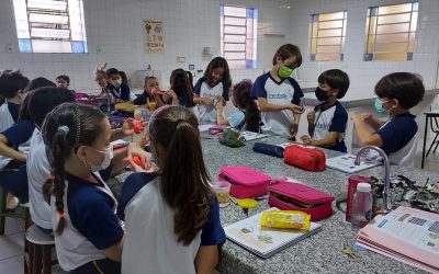 Analisando a diversidade dos materiais!