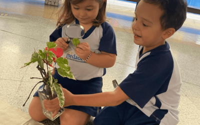 Explorando a natureza: a arte de aprender e brincar no Colégio Piedade