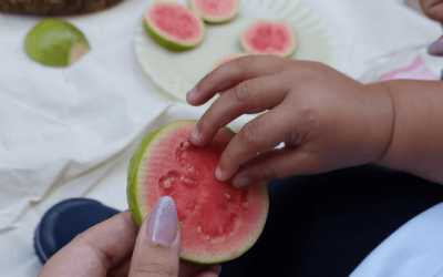 🍃 Aprendizagem sensorial: na aba da goiaba! 🍈✨