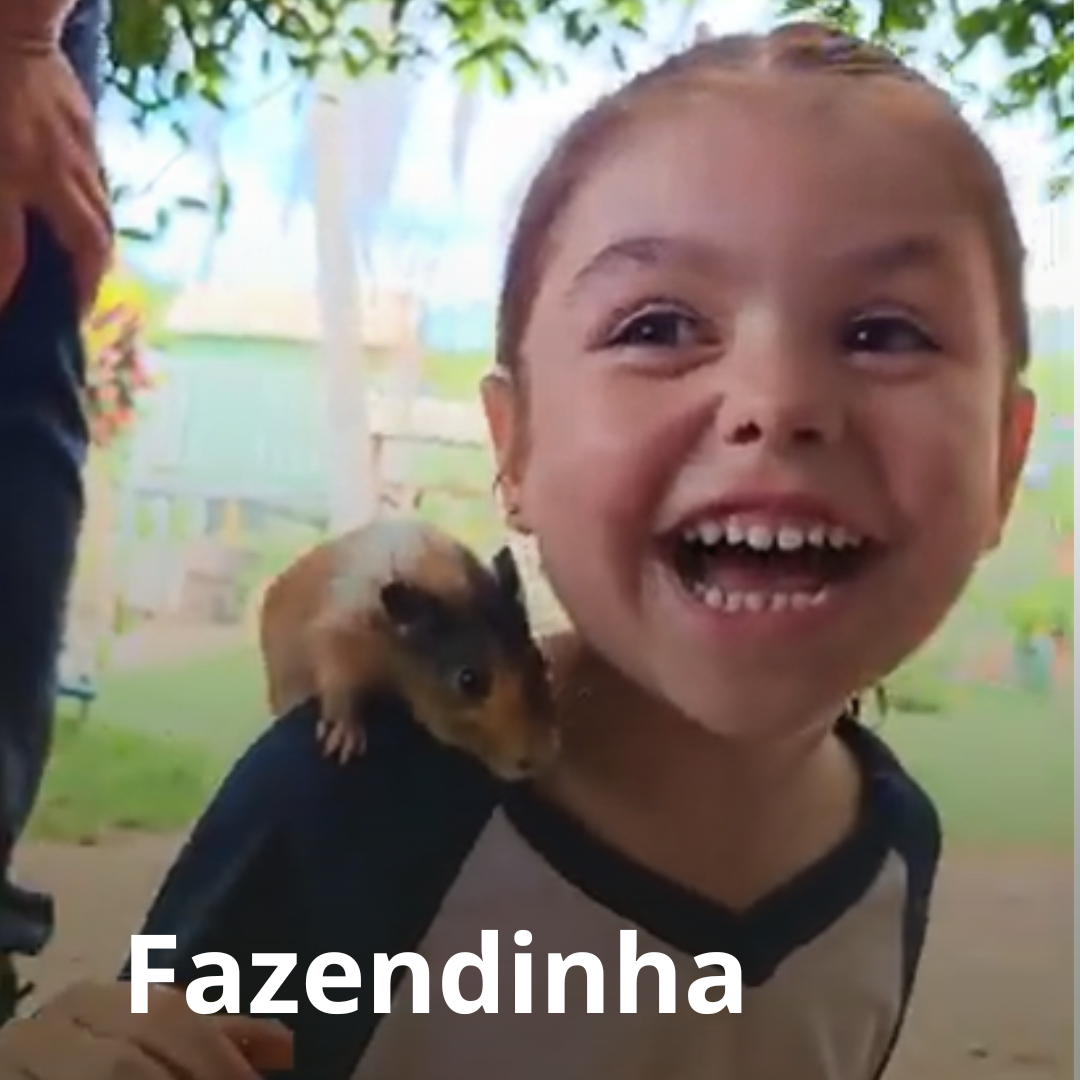 Cópia de Quem Viu o Nosso Caracolzinho de Palito (3)